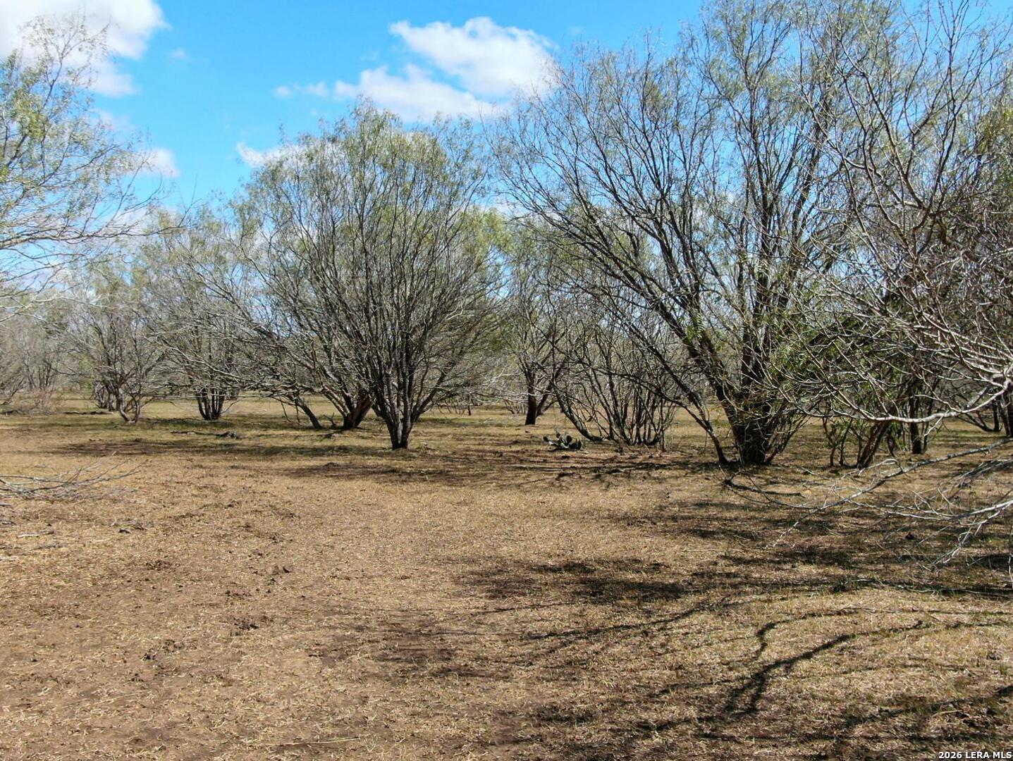 812 County Road 415 Stockdale TX 78160
