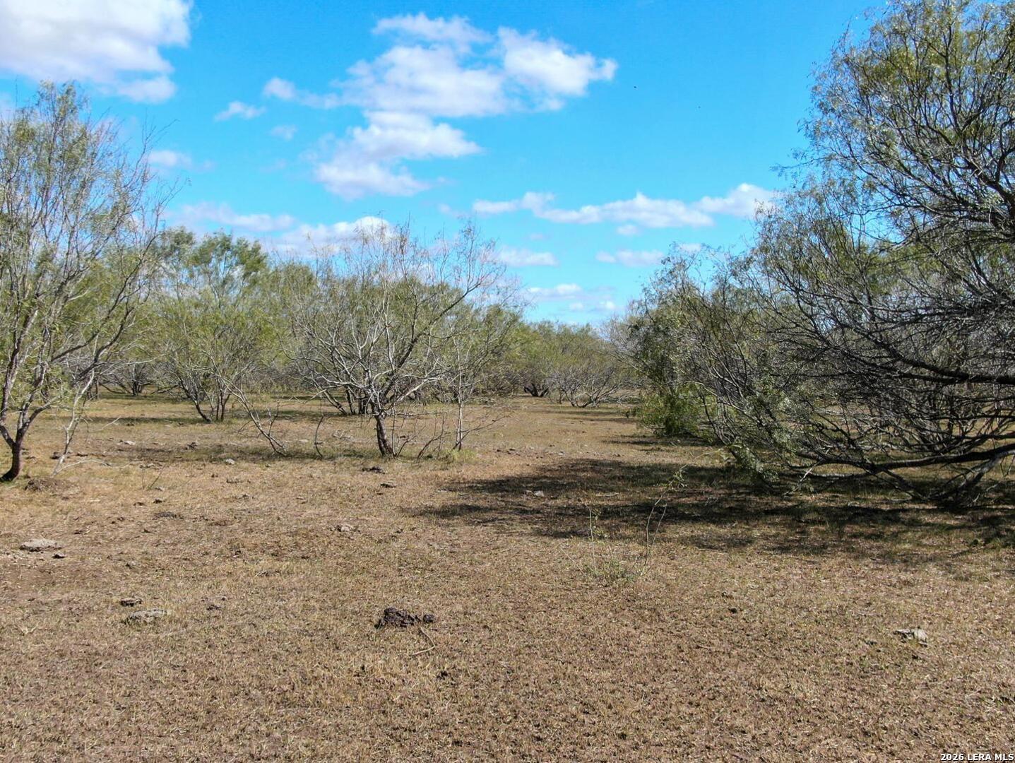 812 County Road 415 Stockdale TX 78160