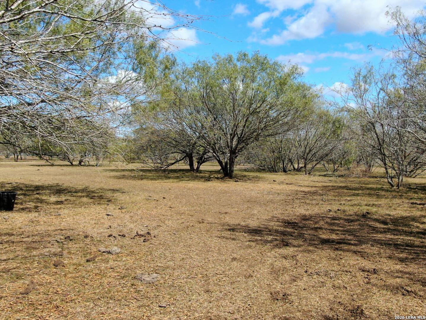 812 County Road 415 Stockdale TX 78160