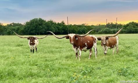 2444 Purgatory Road New Braunfels TX 78132