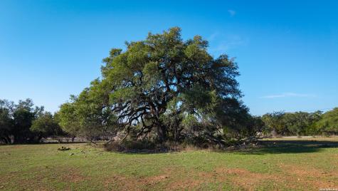 2444 Purgatory Road New Braunfels TX 78132