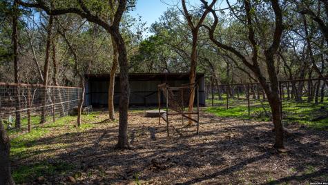 2444 Purgatory Road New Braunfels TX 78132