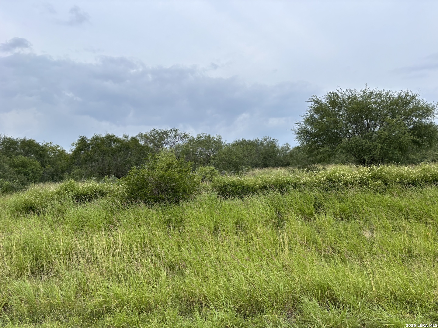 0 Farm To Market Road 3249 Realitos TX 78376