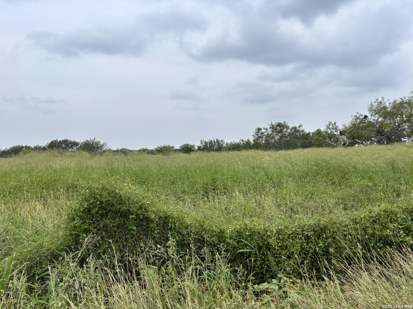 0 Farm To Market Road 3249 Realitos TX 78376