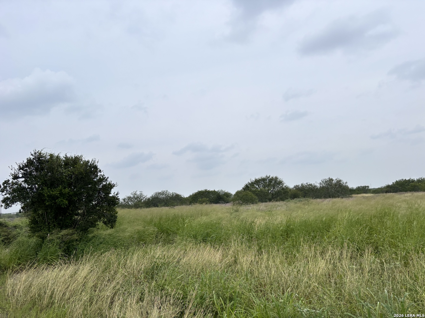 0 Farm To Market Road 3249 Realitos TX 78376