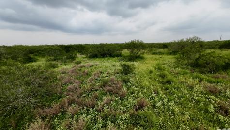 0 Farm To Market Road 3249 Realitos TX 78376