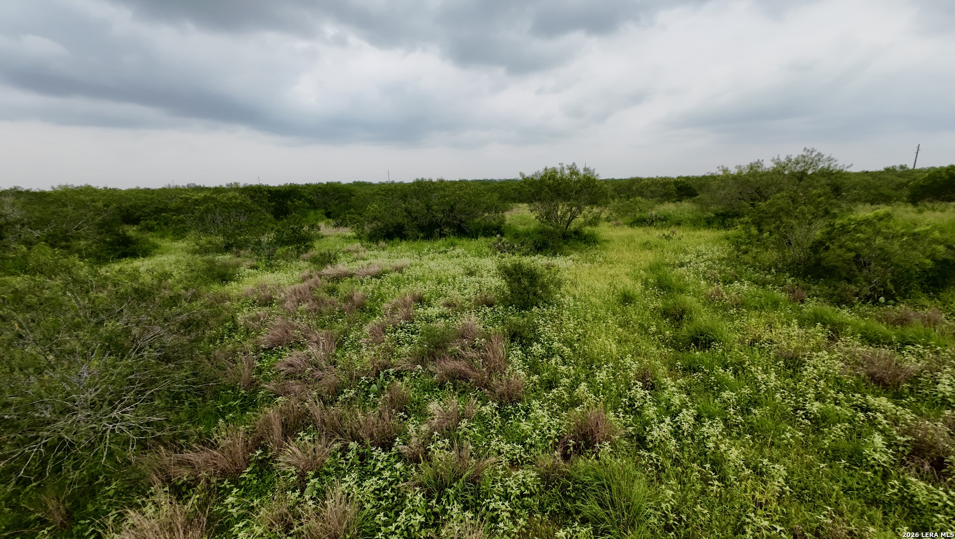 0 Farm To Market Road 3249 Realitos TX 78376