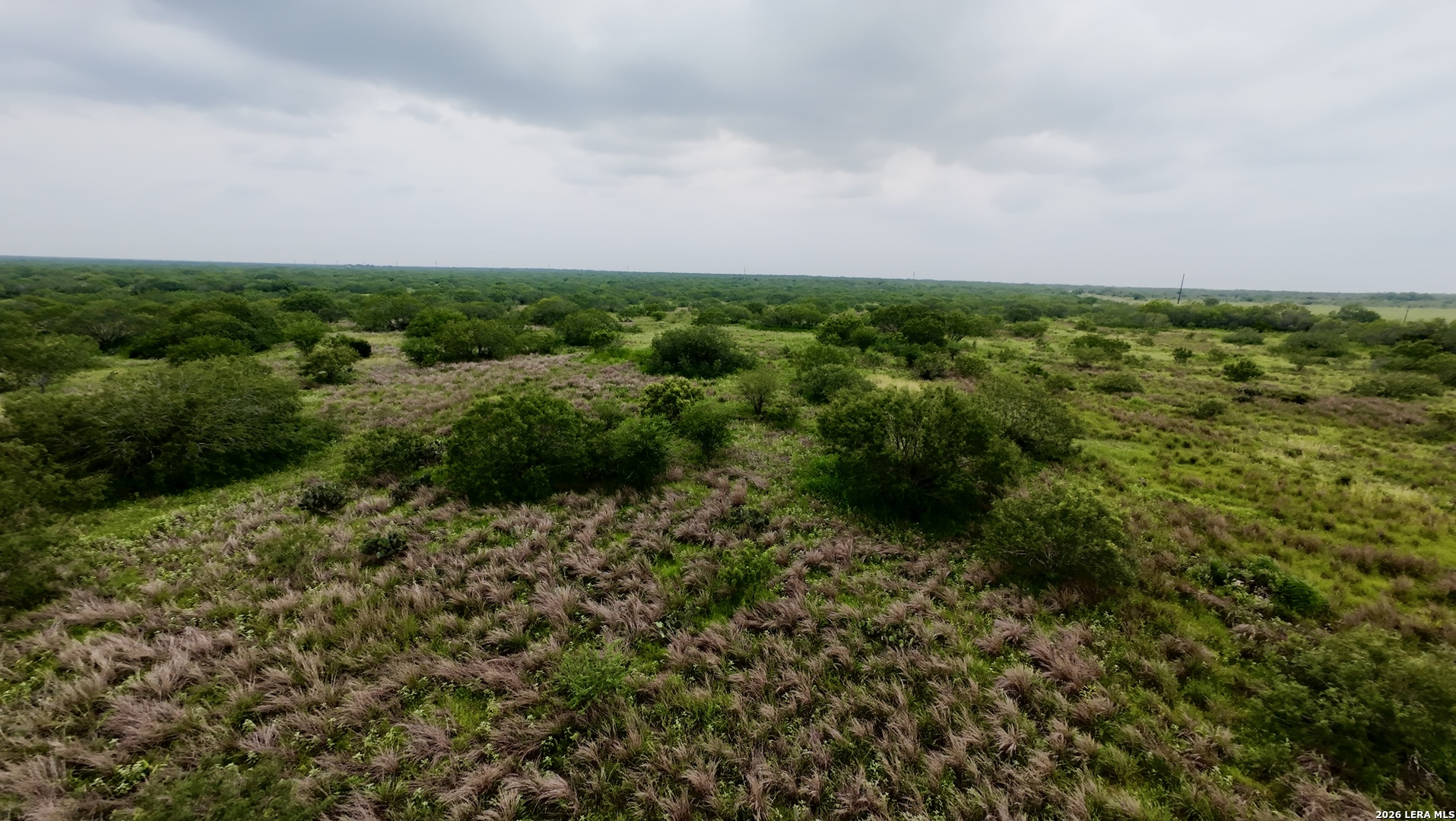 0 Farm To Market Road 3249 Realitos TX 78376