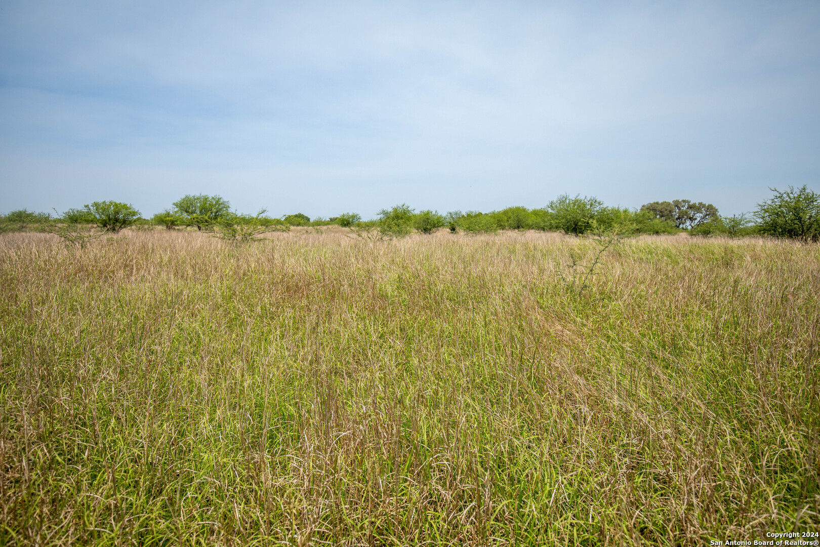 Tbd Green Dewitt Road Cuero TX 77954