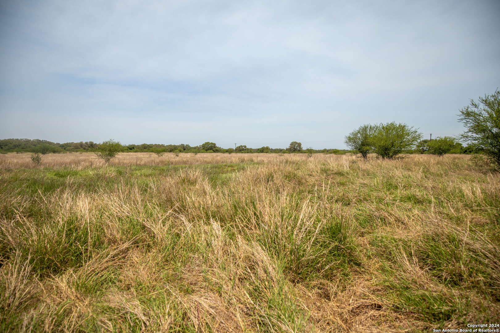 Tbd Green Dewitt Road Cuero TX 77954