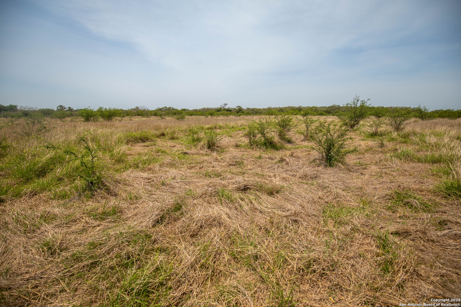 Tbd Green Dewitt Road Cuero TX 77954