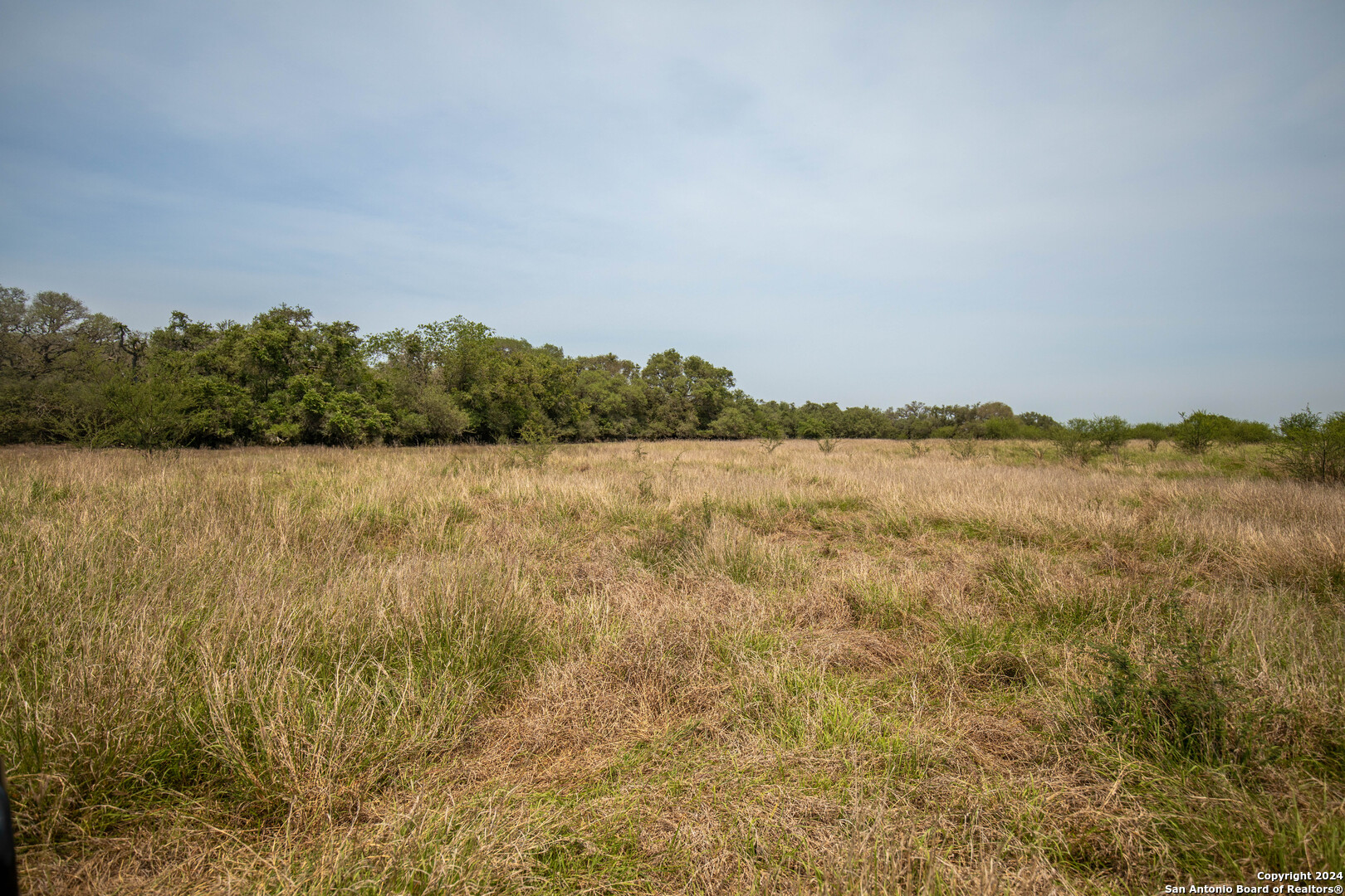 Tbd Green Dewitt Road Cuero TX 77954