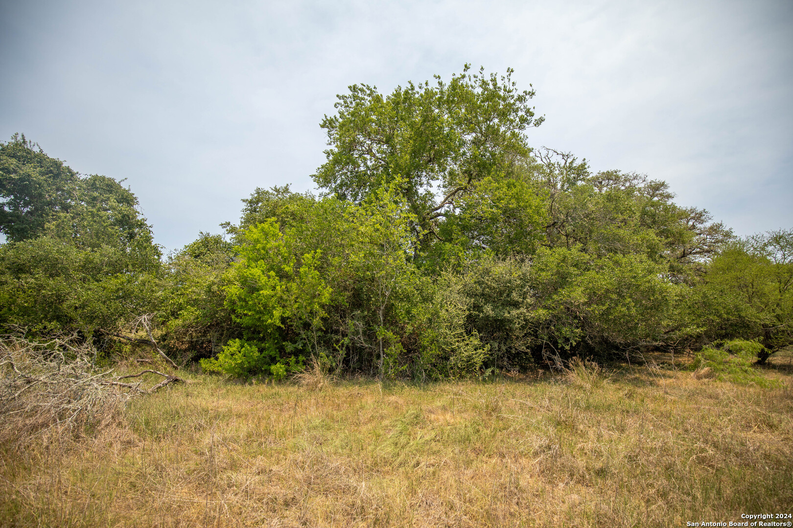 Tbd Green Dewitt Road Cuero TX 77954