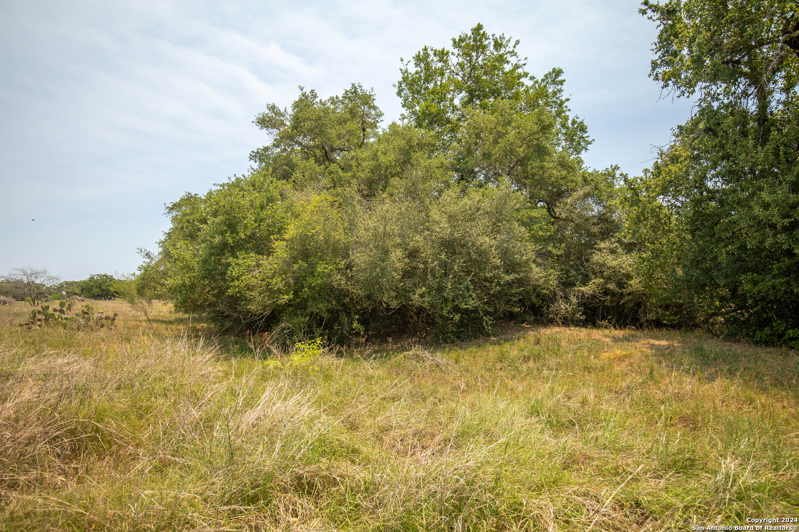 Tbd Green Dewitt Road Cuero TX 77954