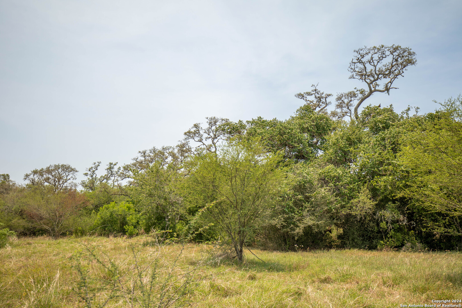 Tbd Green Dewitt Road Cuero TX 77954