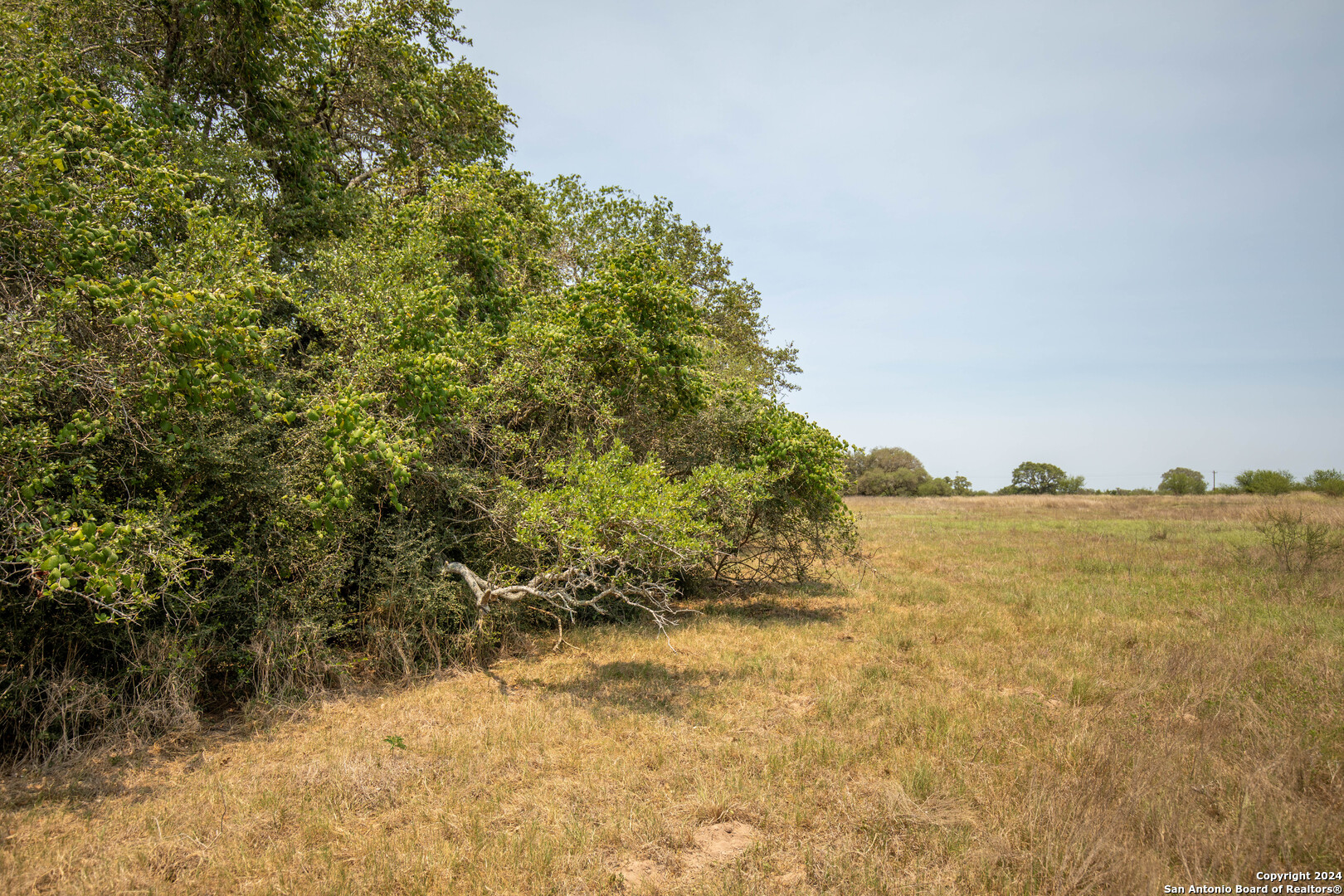 Tbd Green Dewitt Road Cuero TX 77954