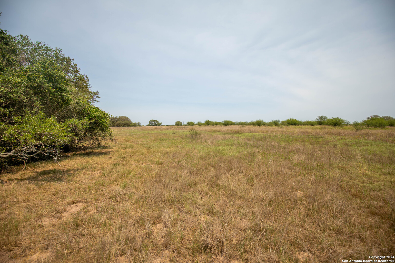 Tbd Green Dewitt Road Cuero TX 77954