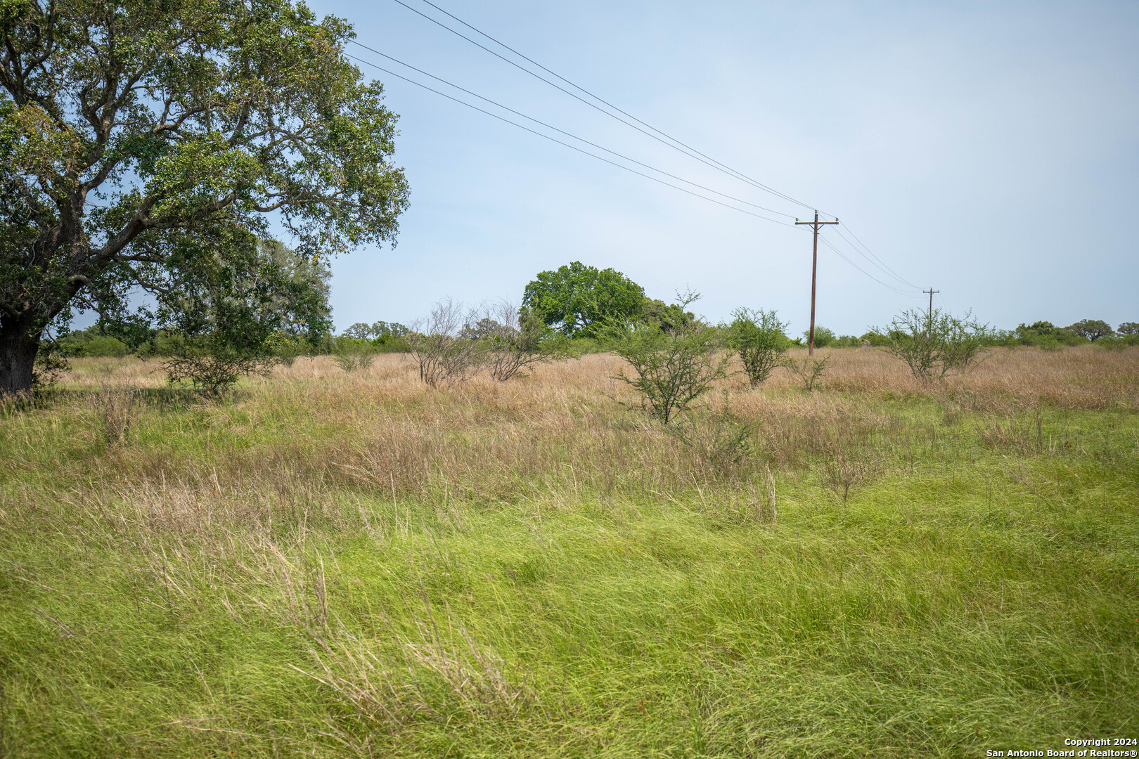 Tbd Green Dewitt Road Cuero TX 77954