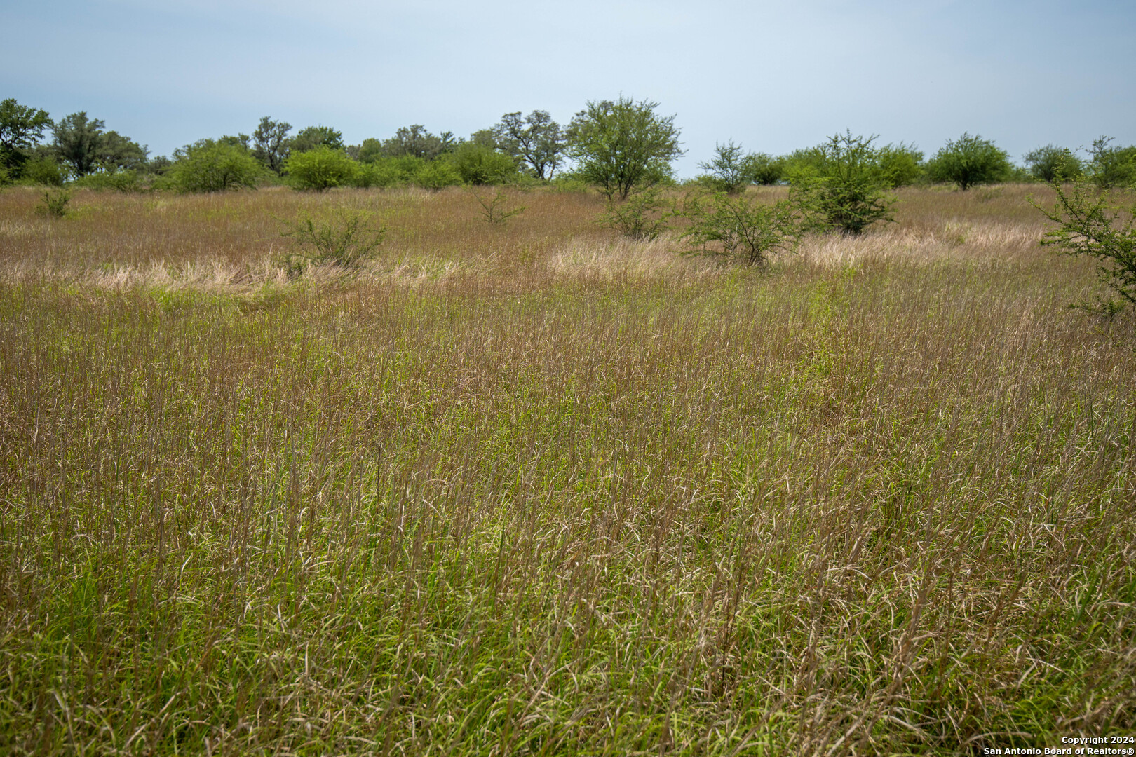 Tbd Green Dewitt Road Cuero TX 77954