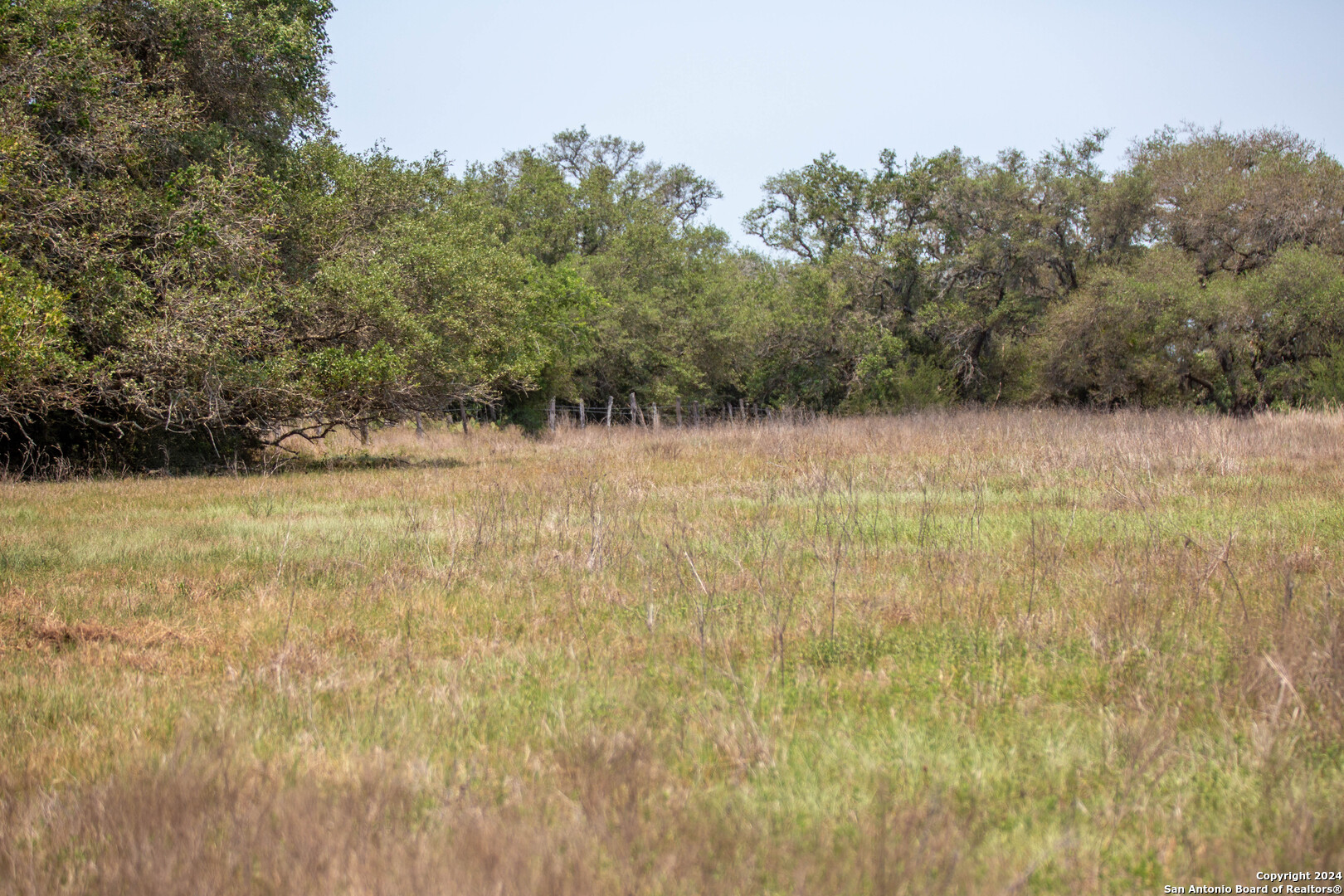 Tbd Green Dewitt Road Cuero TX 77954