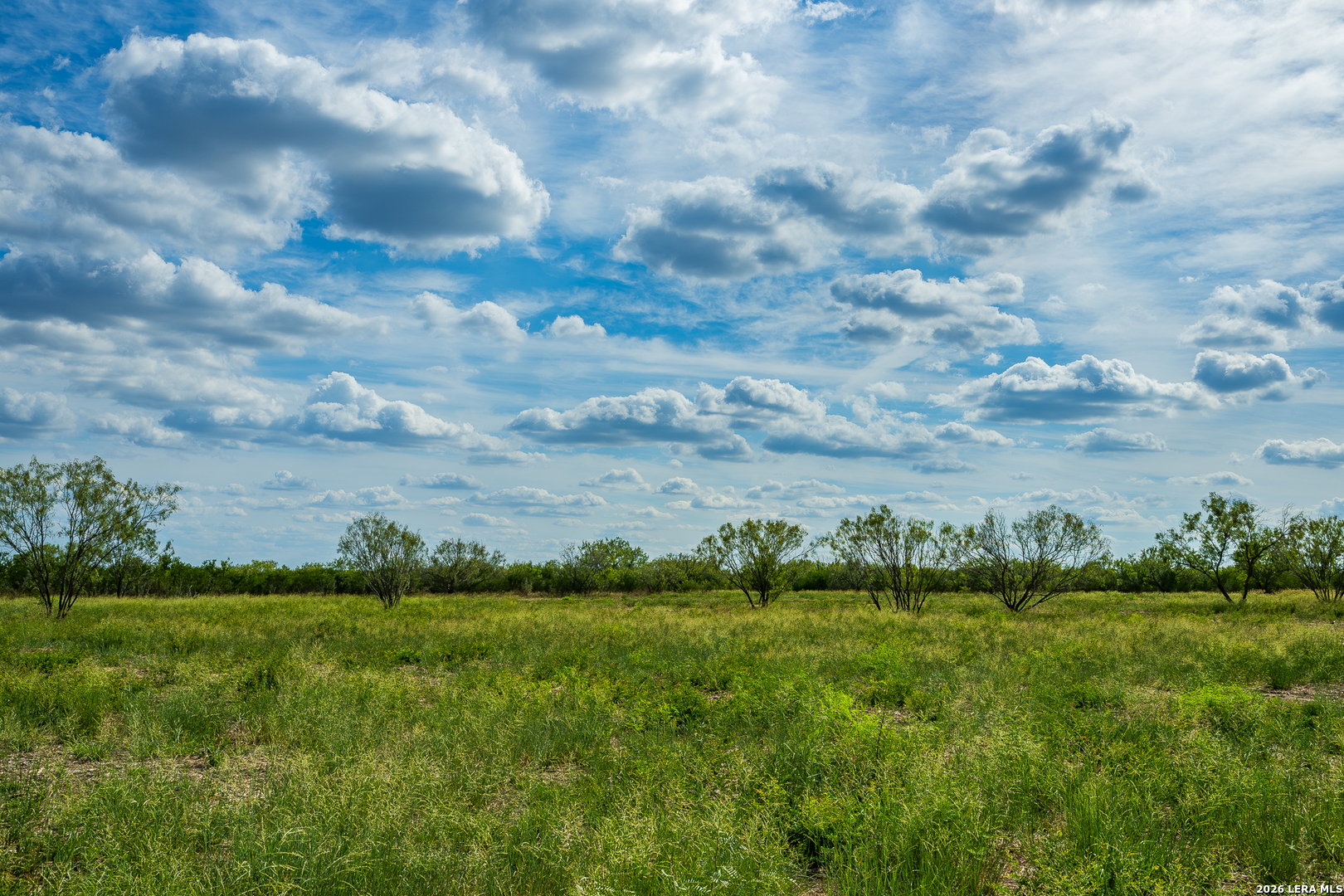 514 E Fm 140 Christine TX 78012