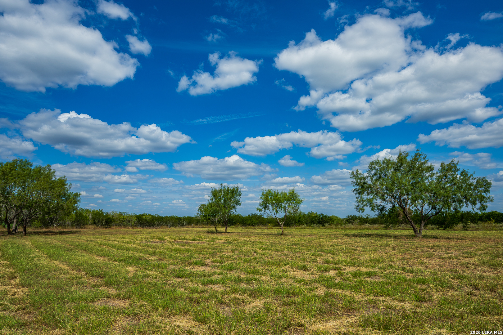 514 E Fm 140 Christine TX 78012