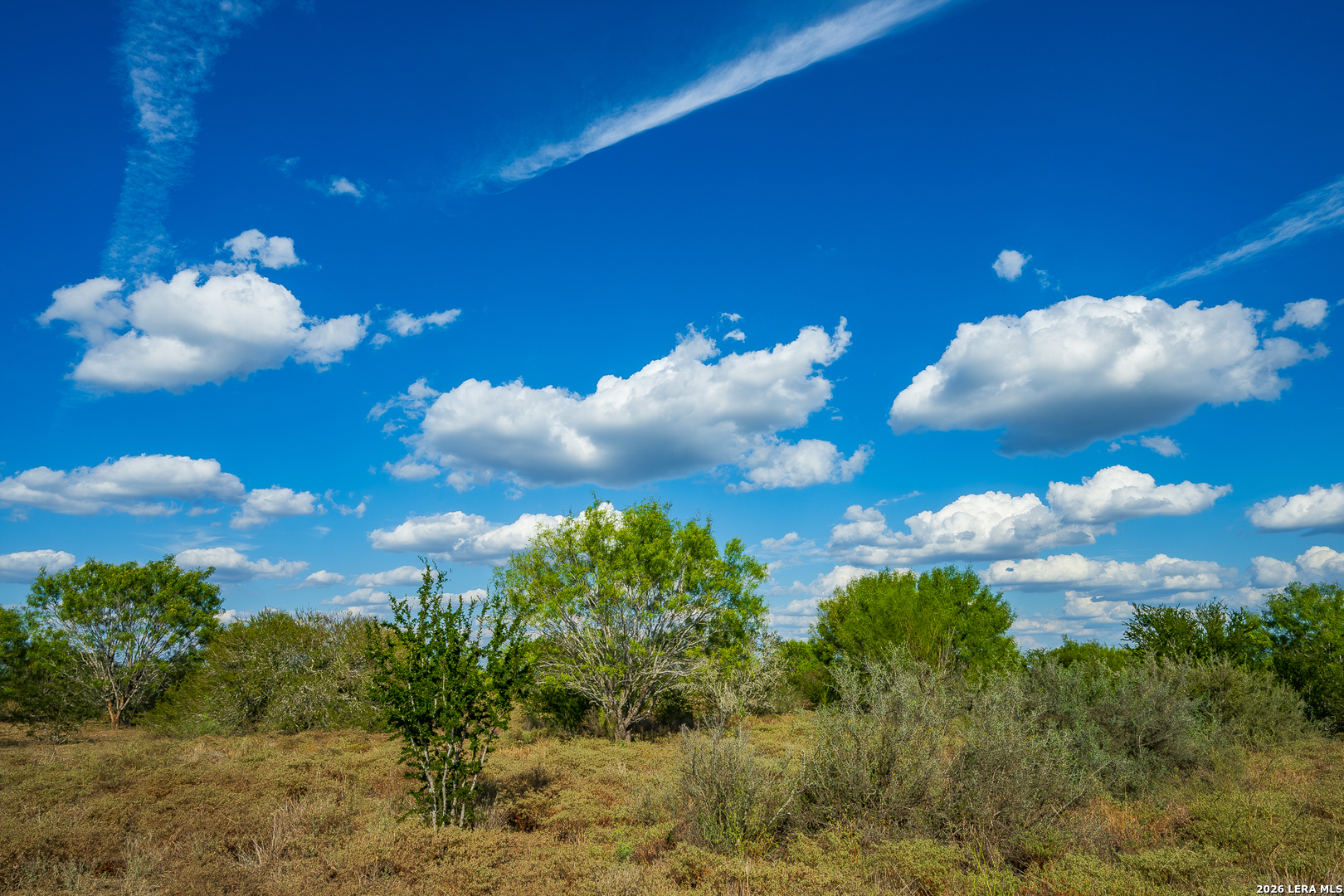 514 E Fm 140 Christine TX 78012