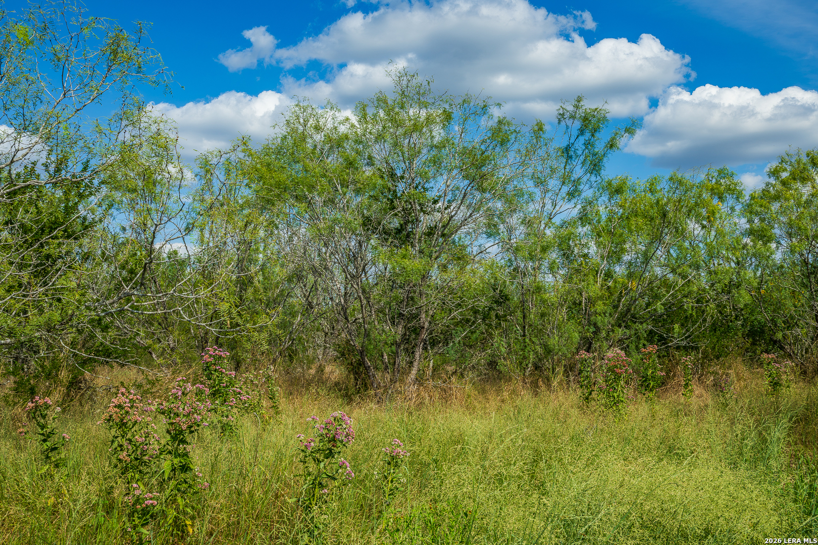 514 E Fm 140 Christine TX 78012