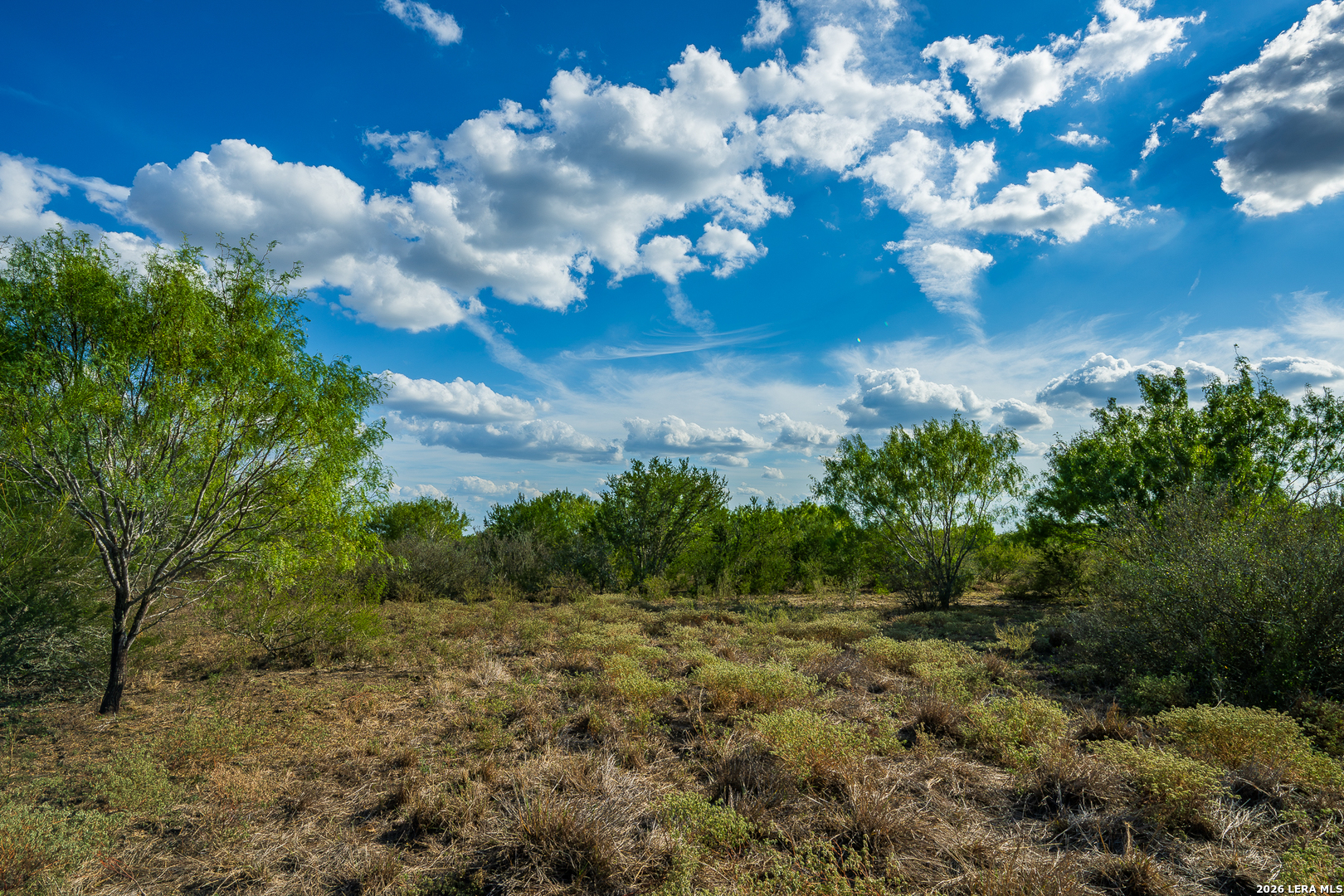 514 E Fm 140 Christine TX 78012