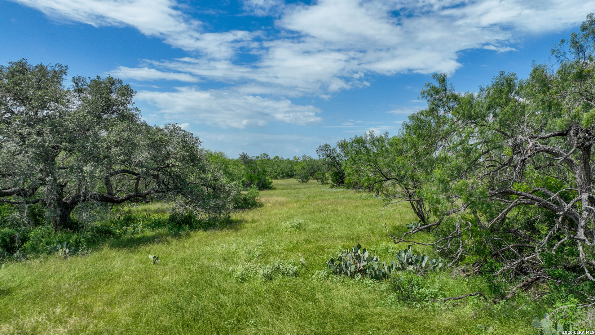 2880 Cr 307 Jourdanton TX 78026