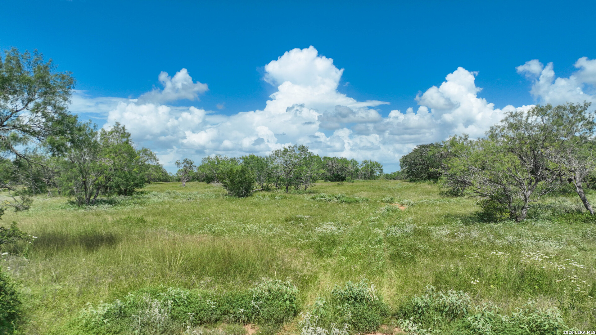 2880 Cr 307 Jourdanton TX 78026