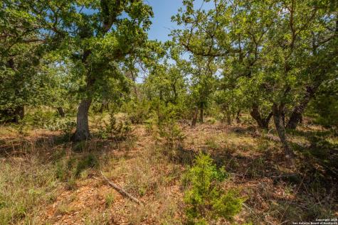 101 Betty Drive Bandera TX 78803