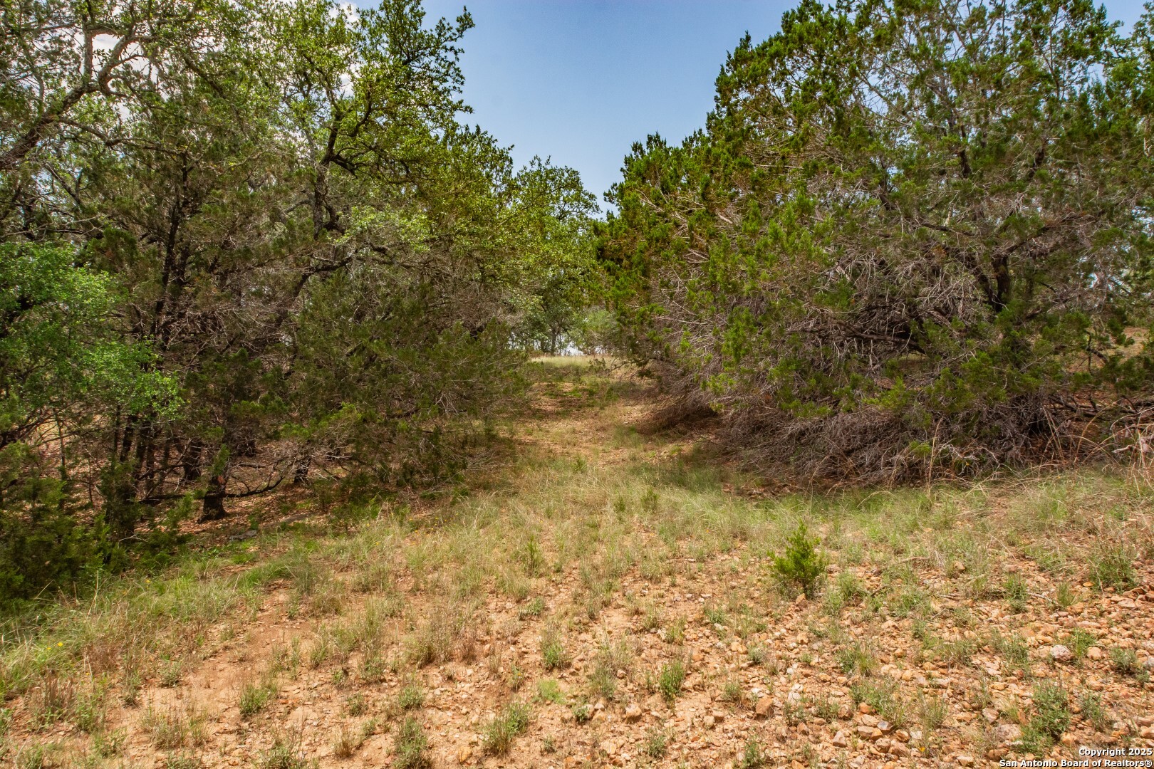 101 Betty Drive Bandera TX 78803