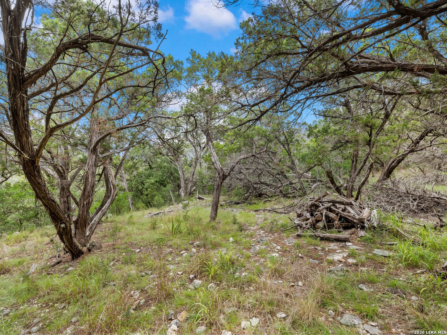 275 County Road 260 E Mico TX 78056