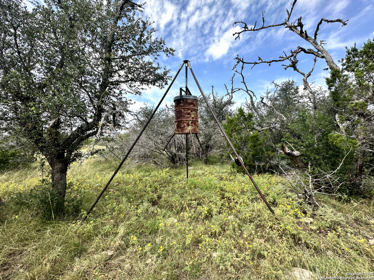 0 Sd 24740 Rocksprings TX 78880
