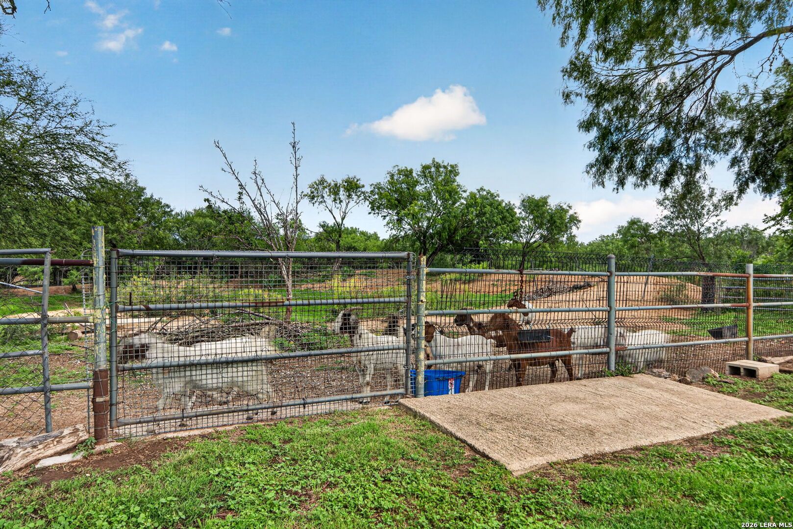 155 County Road 6712 Natalia TX 78059