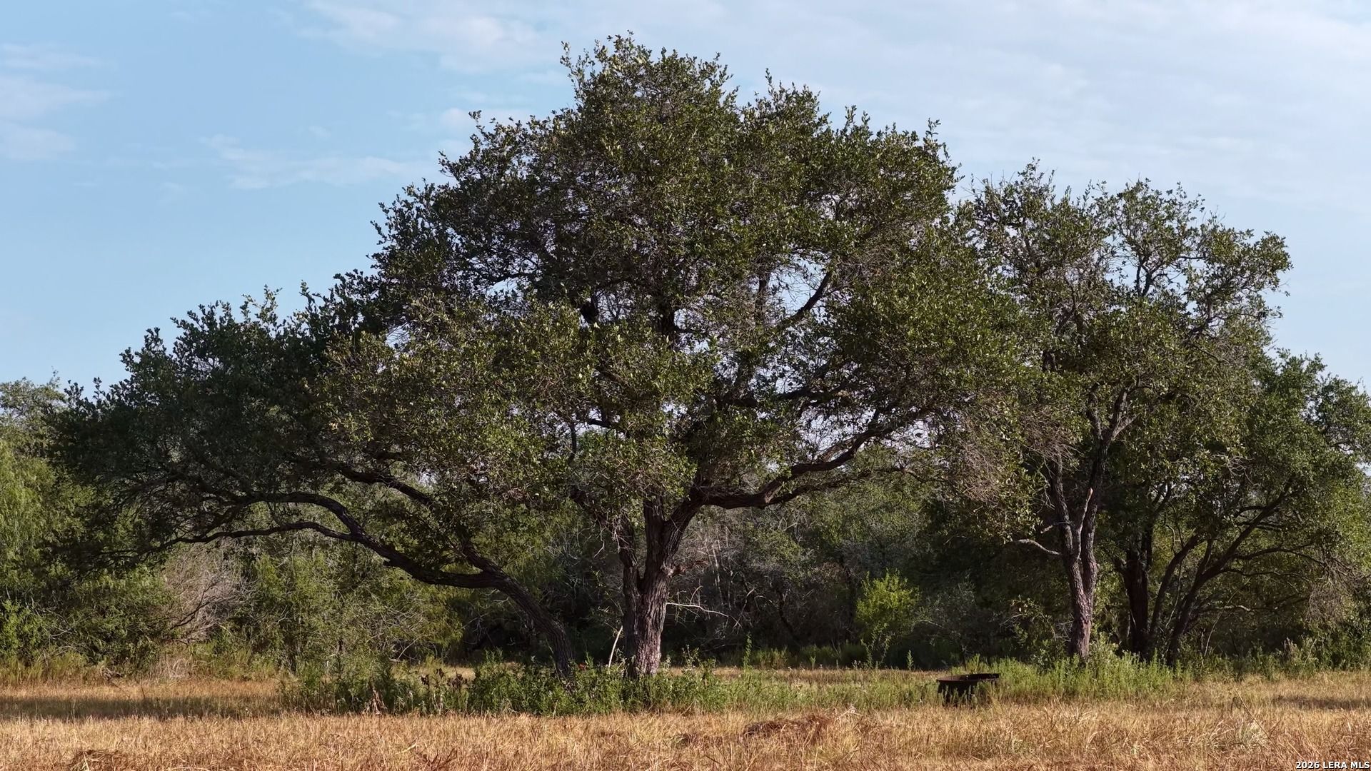 251 Old Goliad Refugio TX 78377