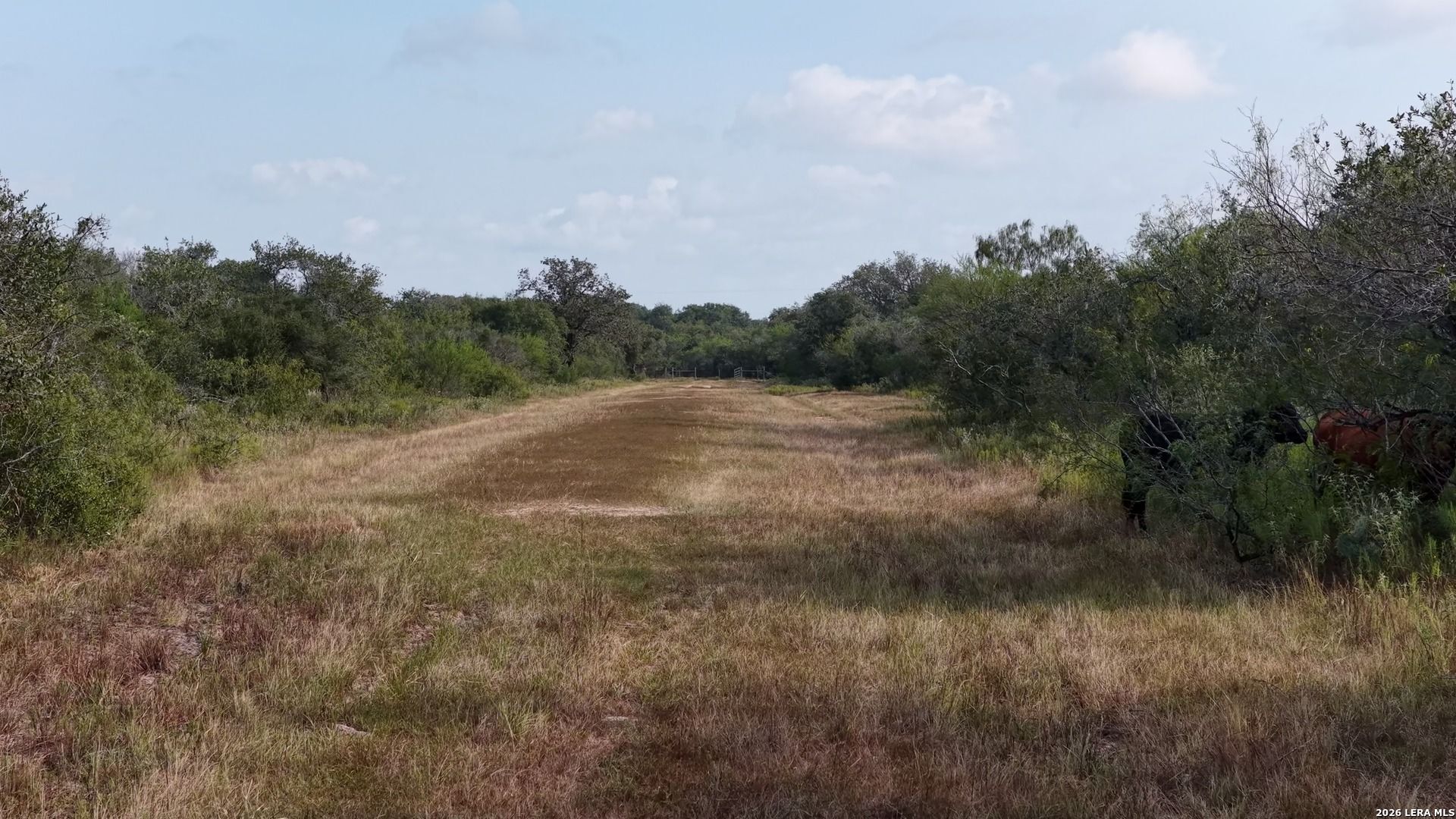 251 Old Goliad Refugio TX 78377