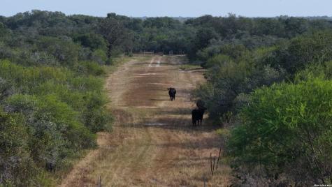 251 Old Goliad Refugio TX 78377