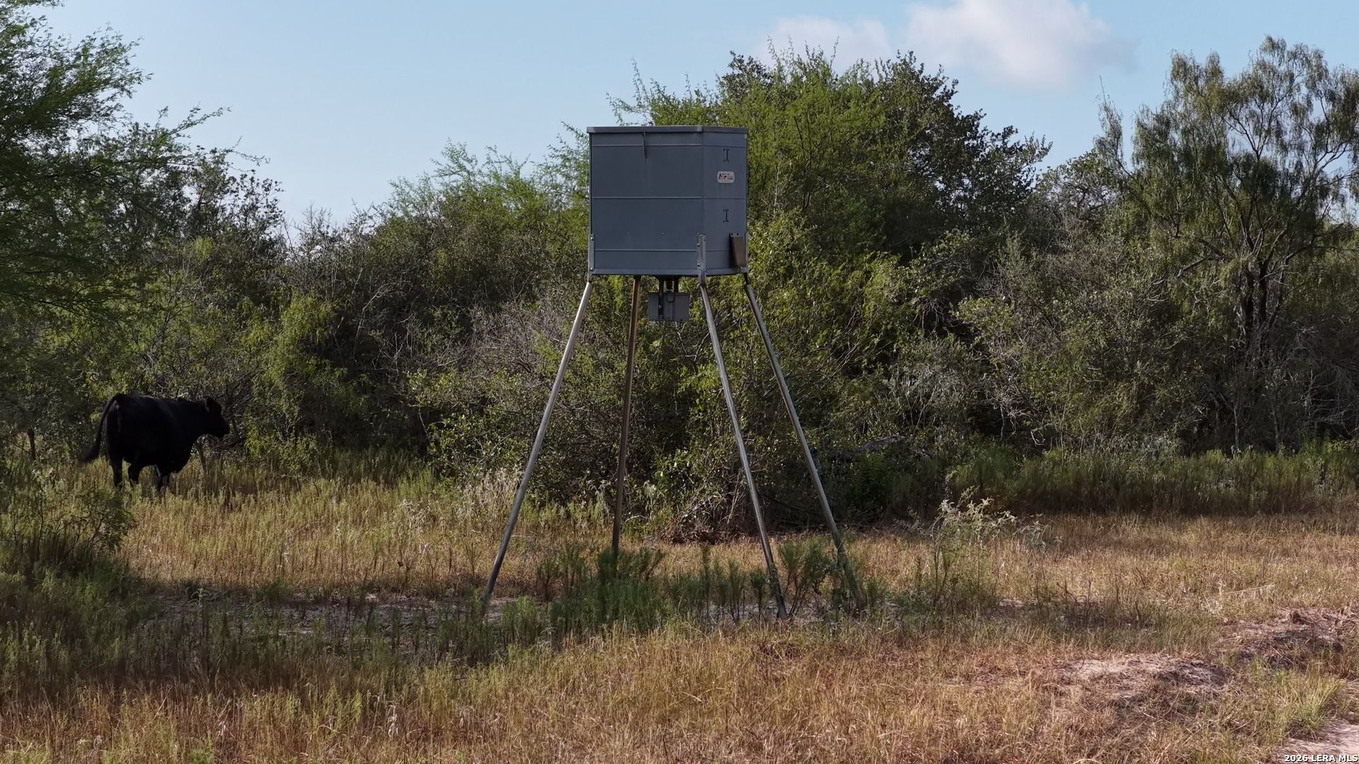 251 Old Goliad Refugio TX 78377