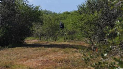 251 Old Goliad Refugio TX 78377