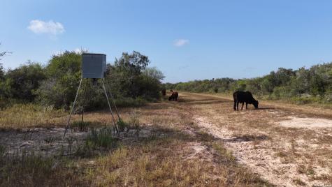 251 Old Goliad Refugio TX 78377