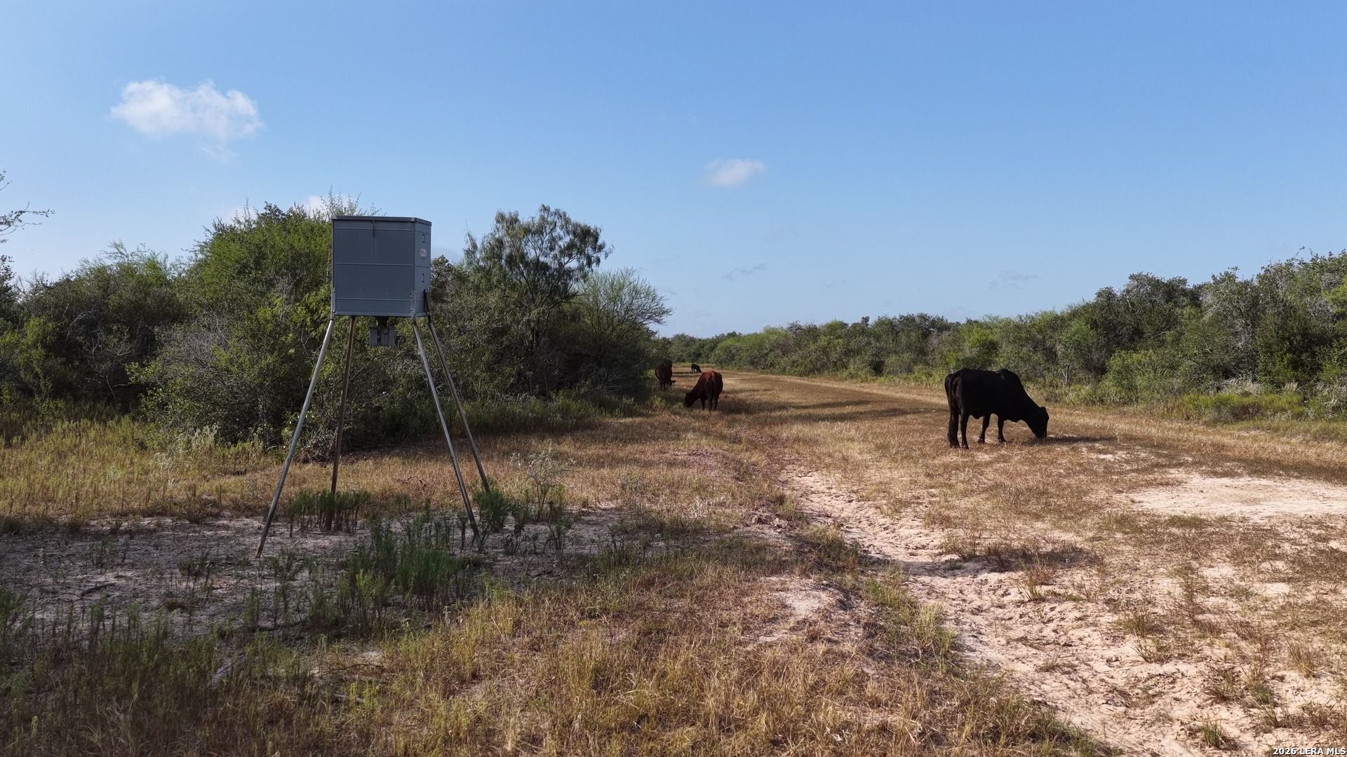251 Old Goliad Refugio TX 78377