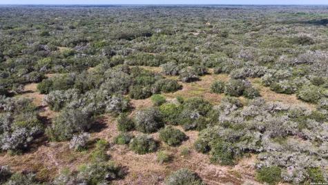 251 Old Goliad Refugio TX 78377