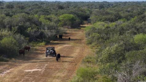 251 Old Goliad Refugio TX 78377