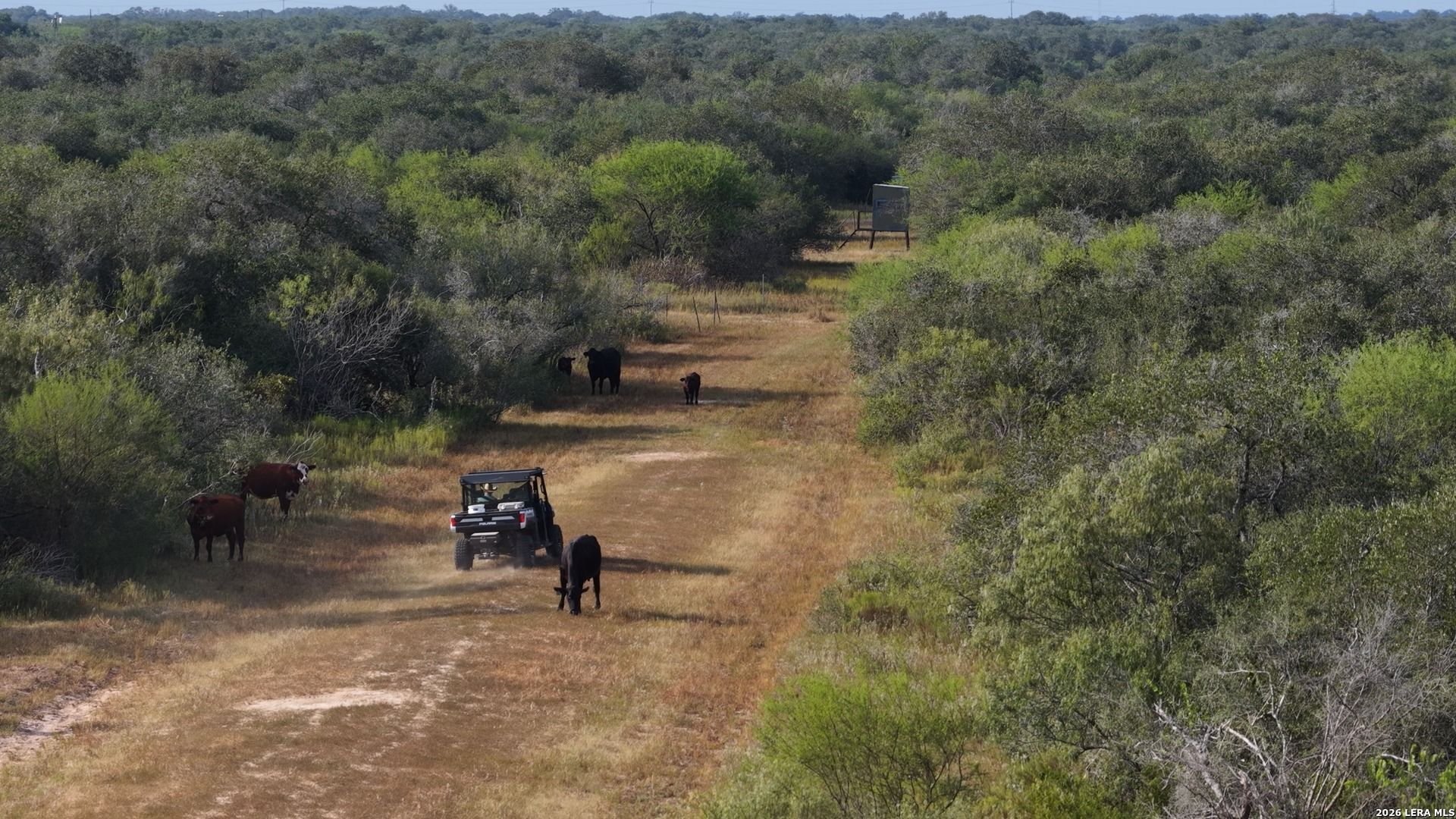 251 Old Goliad Refugio TX 78377