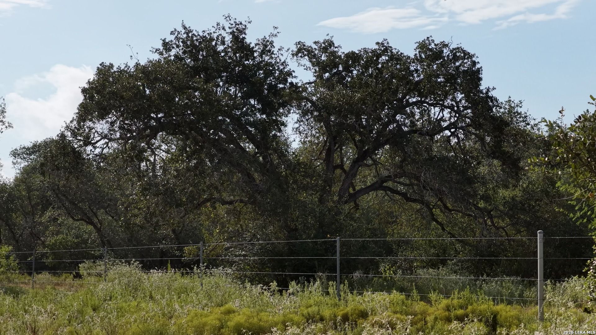251 Old Goliad Refugio TX 78377