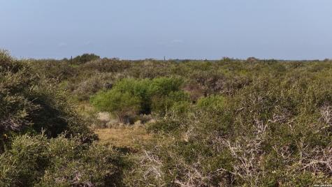 251 Old Goliad Refugio TX 78377