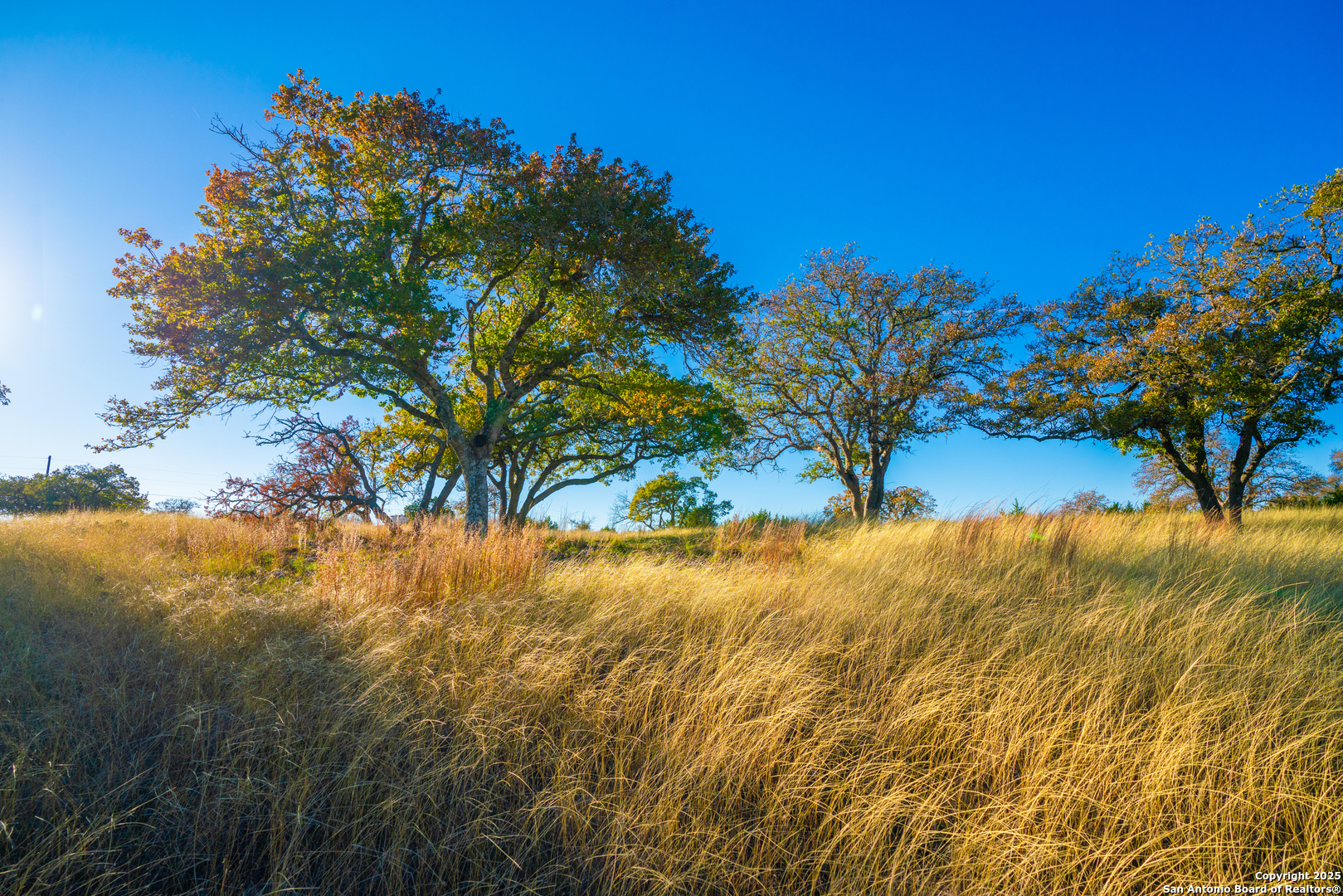 101 Bella Springs Road Boerne TX 78006