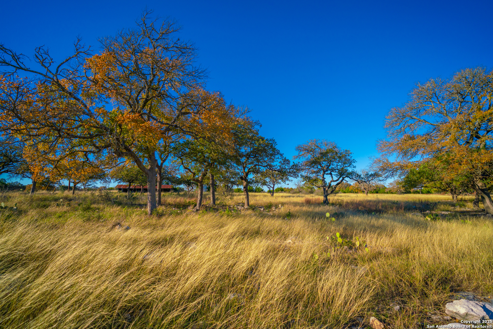 101 Bella Springs Road Boerne TX 78006